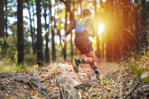 Mountain Trail Challenge